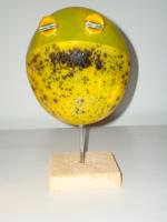 Zaba zielona na piku